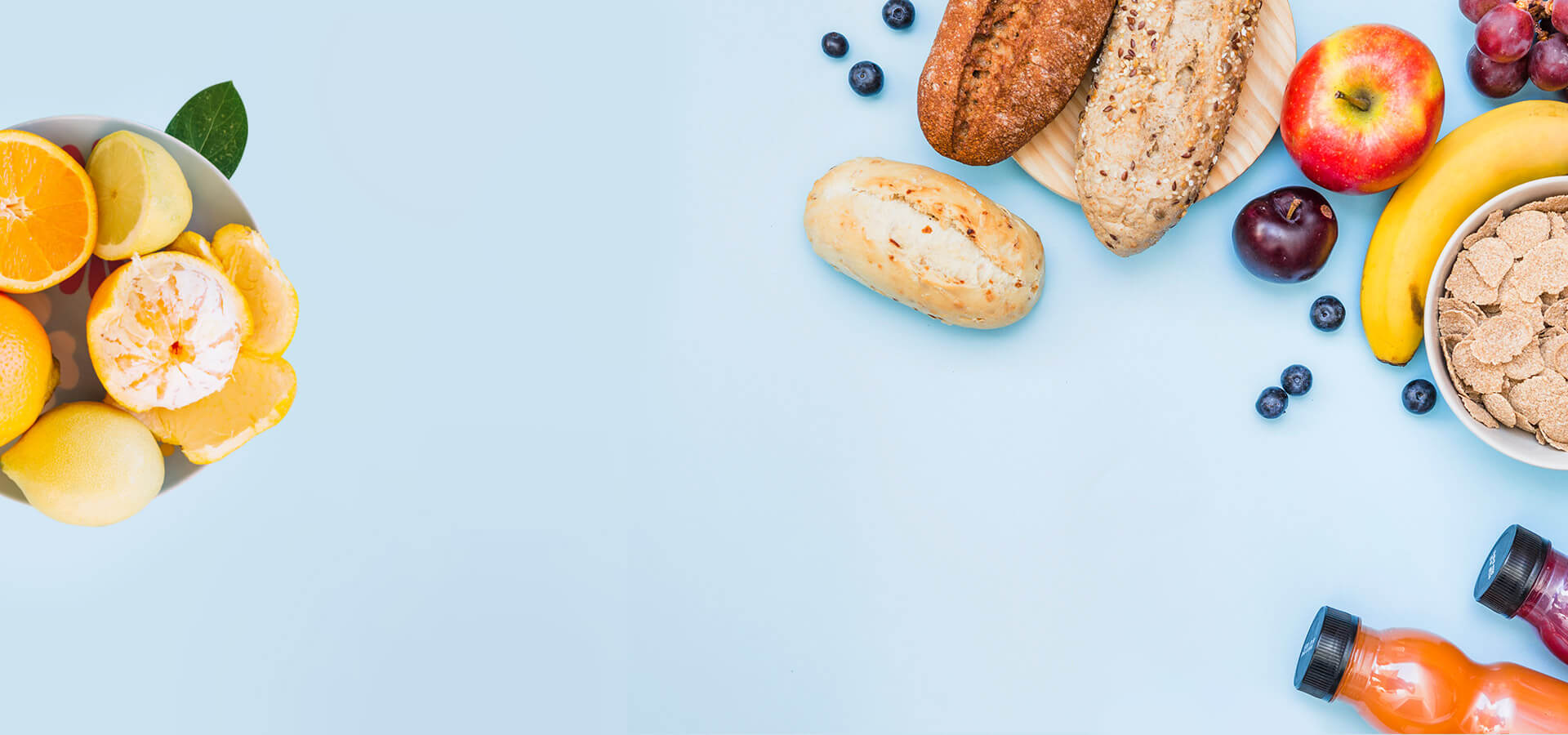 contatti slow food torino